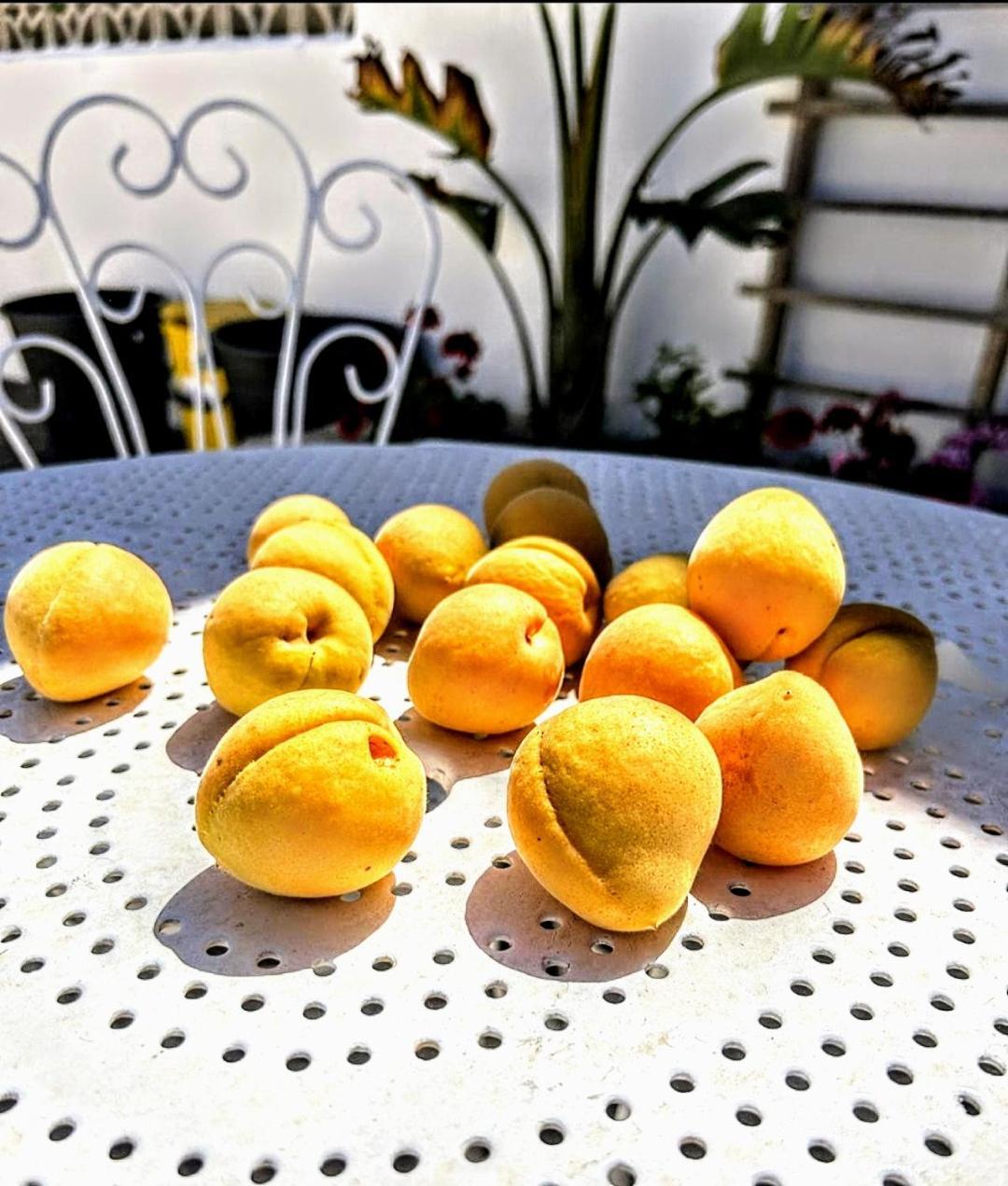 Casa Dei Frutti Di Ostuni 아파트 외부 사진